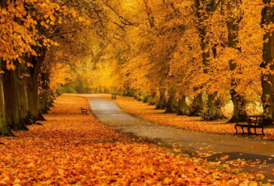 ​李白的送友人原文及翻译