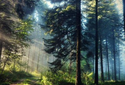 ​秋日私语的作文