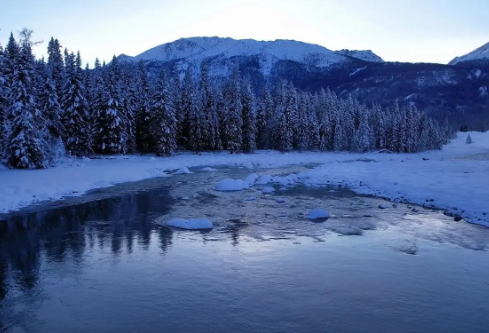 1714056845268819.png image.png