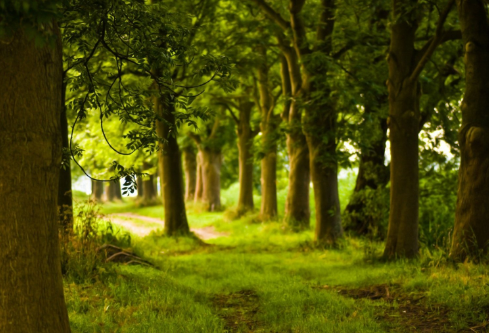 1714057177139603.png image.png