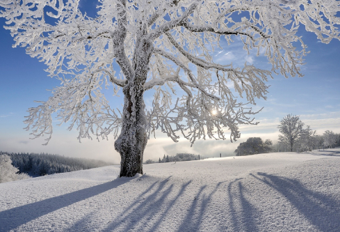 1714058007110479.png image.png