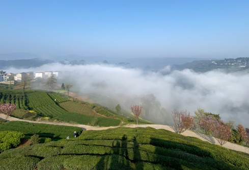 1714058338207198.png image.png