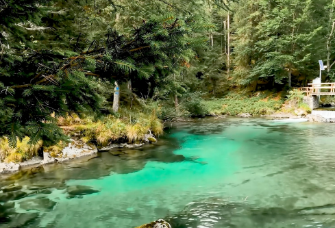 1714059170105169.png image.png