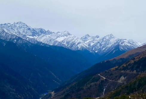 1714059501626241.png image.png