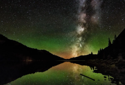 ​小动物三年级作文300字