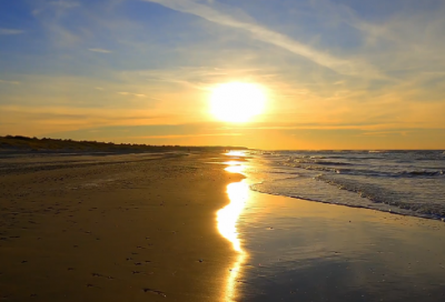 ​股东合作协议书