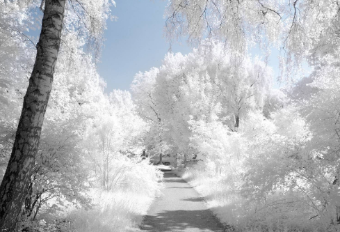 1714065313109515.png image.png