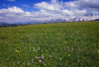 ​三爱三节话题作文