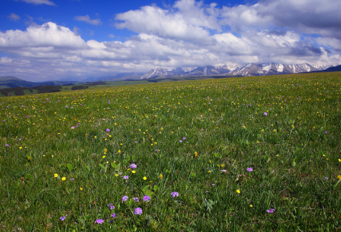 1714065811220365.png image.png