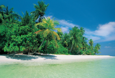 ​解除劳动合同通知书