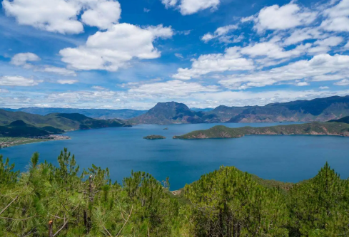 1714066808617764.png image.png