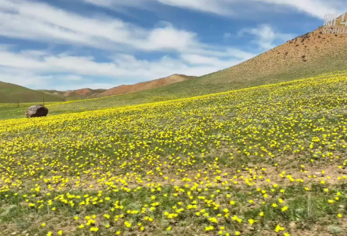 1714066974323685.png image.png