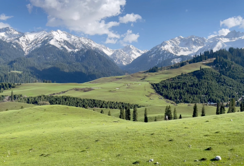 1714067804100479.png image.png