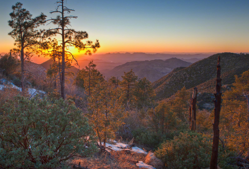 1714067970989343.png image.png