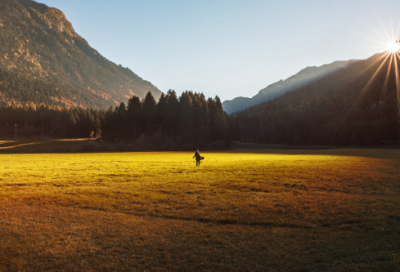 ​户口分户申请书