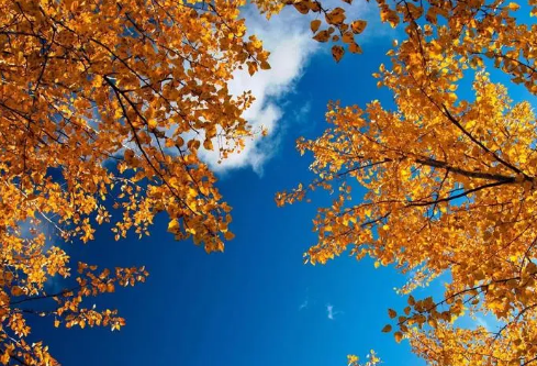 1714076366122033.png image.png