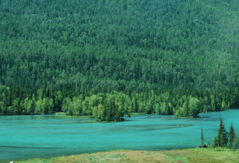 1714079189159002.png image.png