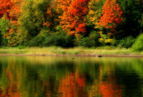 1714081182458116.png image.png