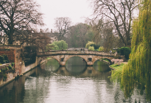 1714115753255436.png image.png