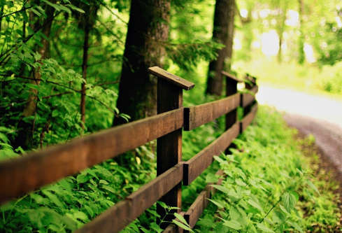 1714115918116190.png image.png