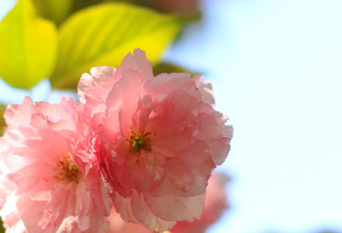 1714117080831158.png image.png