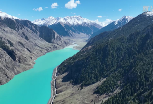 1714117246124099.png image.png