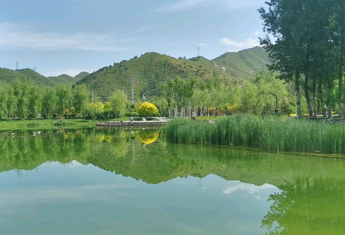 1714117744448262.png image.png