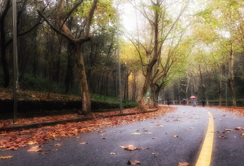 1714118243126857.png image.png