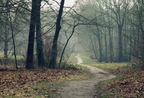 1714120401870705.png image.png